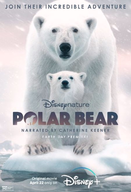 Polar Bear 2022 1 دانلود مستند Polar Bear 2022 خرس قطبی