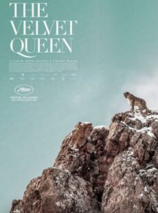 دانلود مستند The Velvet Queen 2021 ملکه مخملی