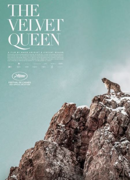 The Velvet Queen 2021 1 دانلود مستند The Velvet Queen 2021 ملکه مخملی